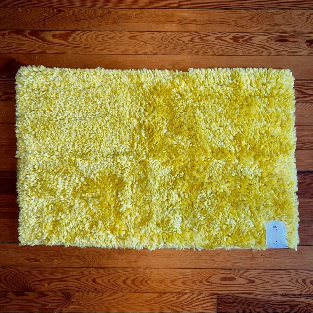 URBAN OUTFITTERS Shag Rug